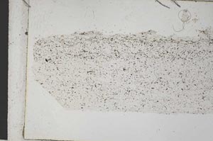 Plane Polarized, S32778