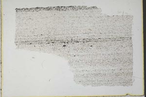 Plane Polarized, S32782