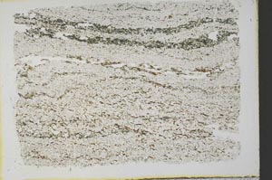 Plane Polarized, S32787