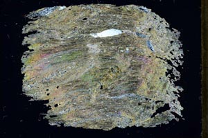 Cross Polarized, S32795