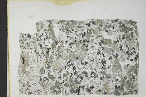 Plane Polarized, S32869