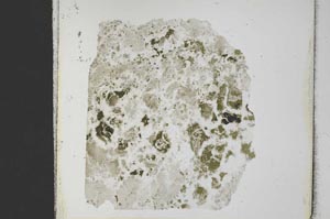 Plane Polarized, S32877