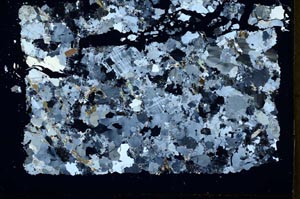 Cross Polarized, S32883