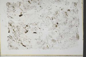 Plane Polarized, S32883