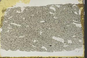 Plane Polarized, S32948