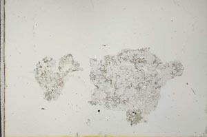 Plane Polarized, S32962