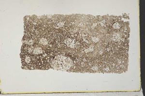 Plane Polarized, S32963