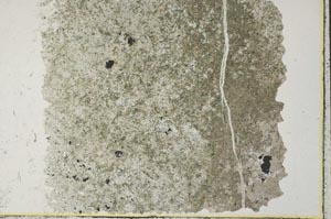Plane Polarized, S32965