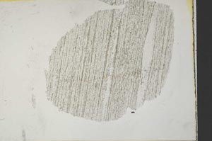 Plane Polarized, S32975