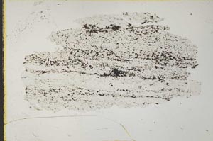 Plane Polarized, S32980