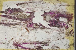 Plane Polarized, S32988