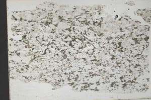 Plane Polarized, S33015