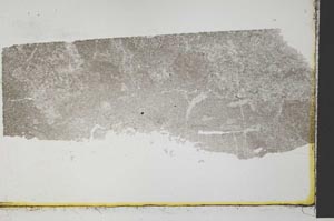 Plane Polarized, S33026