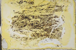 Plane Polarized, S33043