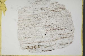 Plane Polarized, S33058