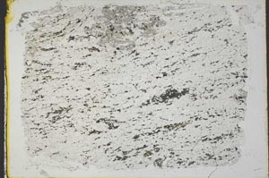Plane Polarized, S33067