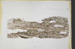 Plane Polarized, S33087