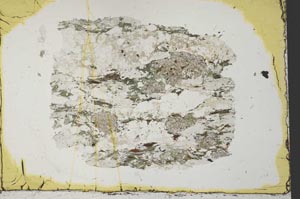Plane Polarized, S33143
