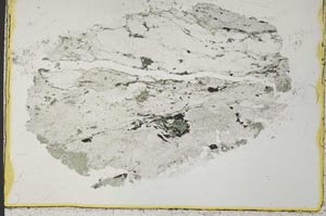 Plane Polarized, S33144