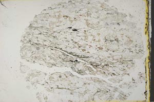 Plane Polarized, S33147