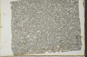 Plane Polarized, S33154