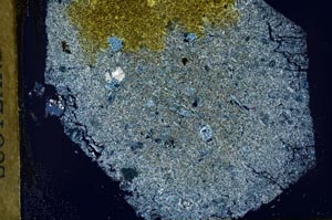 Cross Polarized, S33157