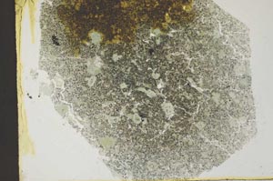 Plane Polarized, S33157