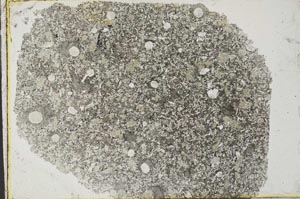 Plane Polarized, S33158