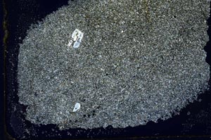 Cross Polarized, S33160