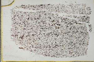 Plane Polarized, S33172