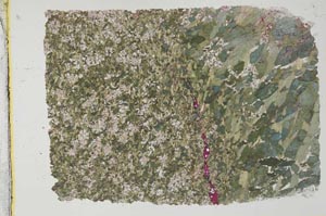 Plane Polarized, S33188