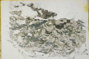 Plane Polarized, S33189