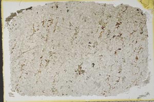 Plane Polarized, S33195