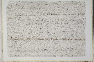 Plane Polarized, S33203