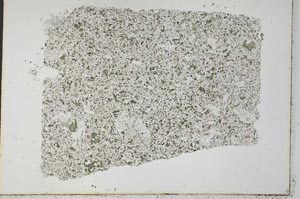 Plane Polarized, S33216