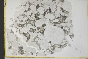 Plane Polarized, S33217