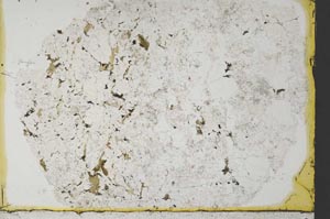 Plane Polarized, S33222