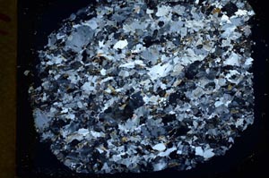 Cross Polarized, S33227