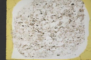 Plane Polarized, S33227