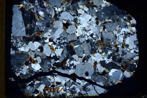 Cross Polarized, S33229