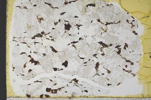 Plane Polarized, S33229