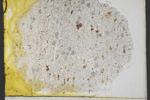 Plane Polarized, S33243