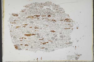 Plane Polarized, S33245
