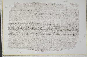 Plane Polarized, S33257