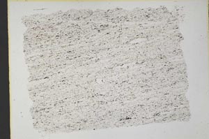 Plane Polarized, S33258