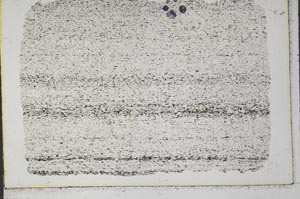 Plane Polarized, S33259