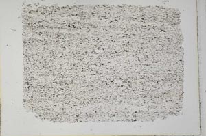 Plane Polarized, S33261