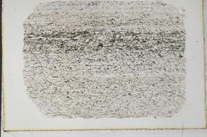 Plane Polarized, S33263