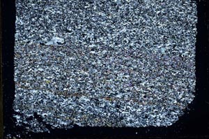 Cross Polarized, S33267