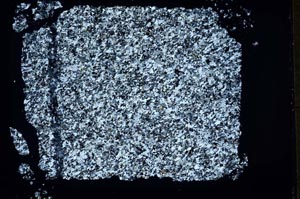 Cross Polarized, S33269